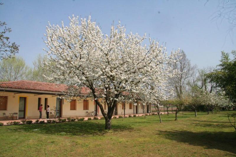 Agriturismo Corte San Girolamo Mantova Exterior photo